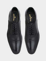 The Regent Oxford Handcrafted Argentine Leather