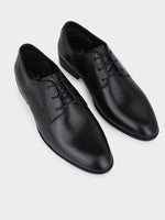 Executive Classic Argentinian Leather Derby