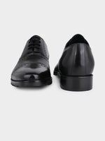 The Regent Oxford Handcrafted Argentine Leather